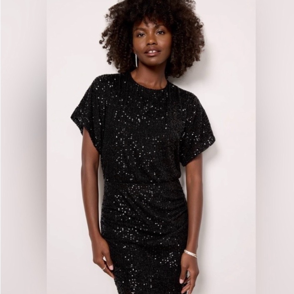 NWOT Z Supply - Evereve Carmela Black Sequin Dress